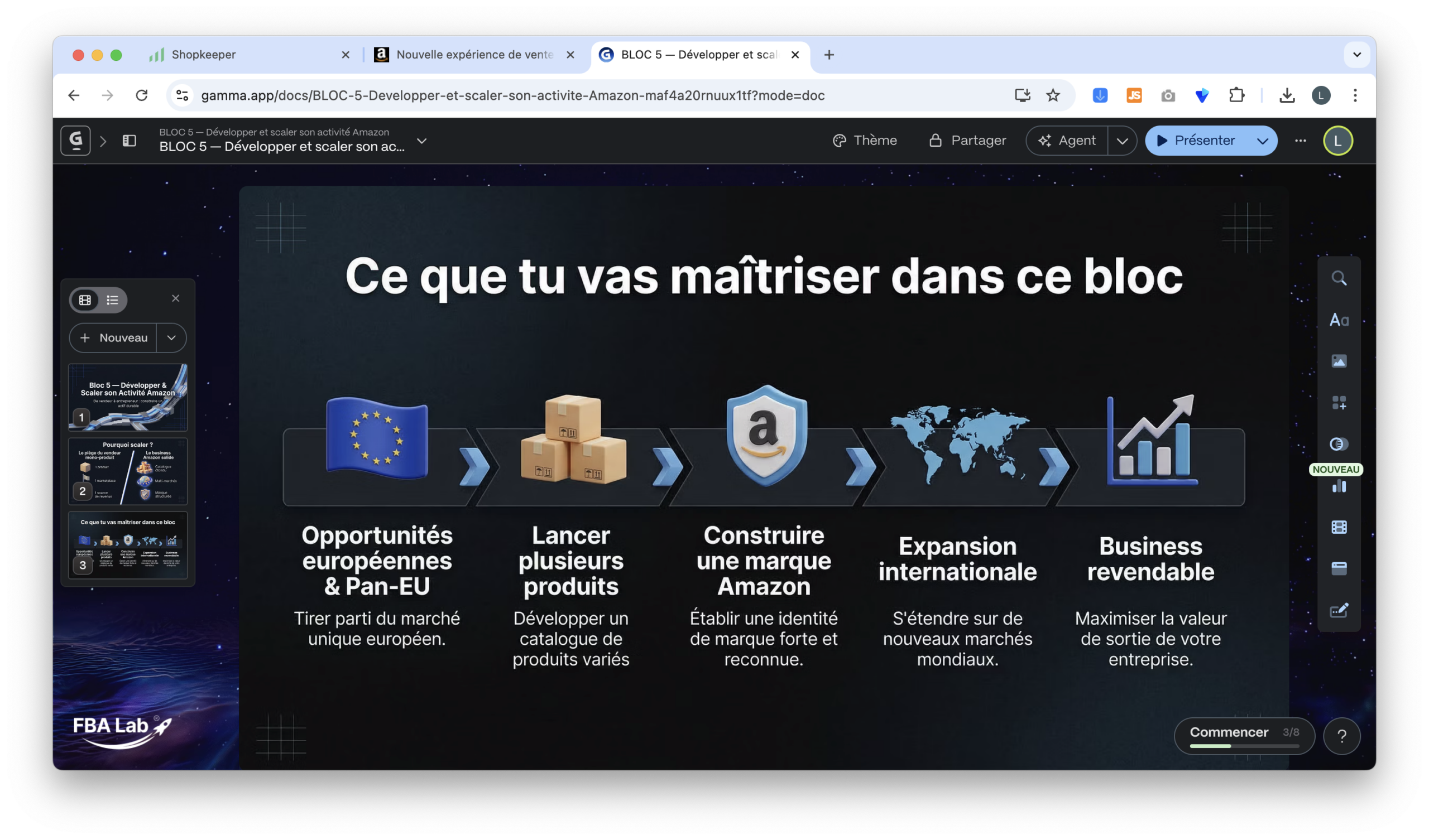 FBA Lab visuel formation